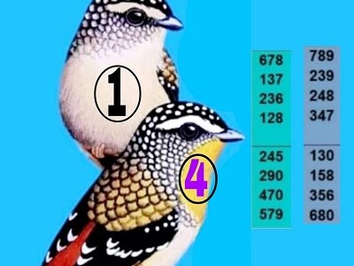 How do you collect Thai lottery&nbsp;winnings?